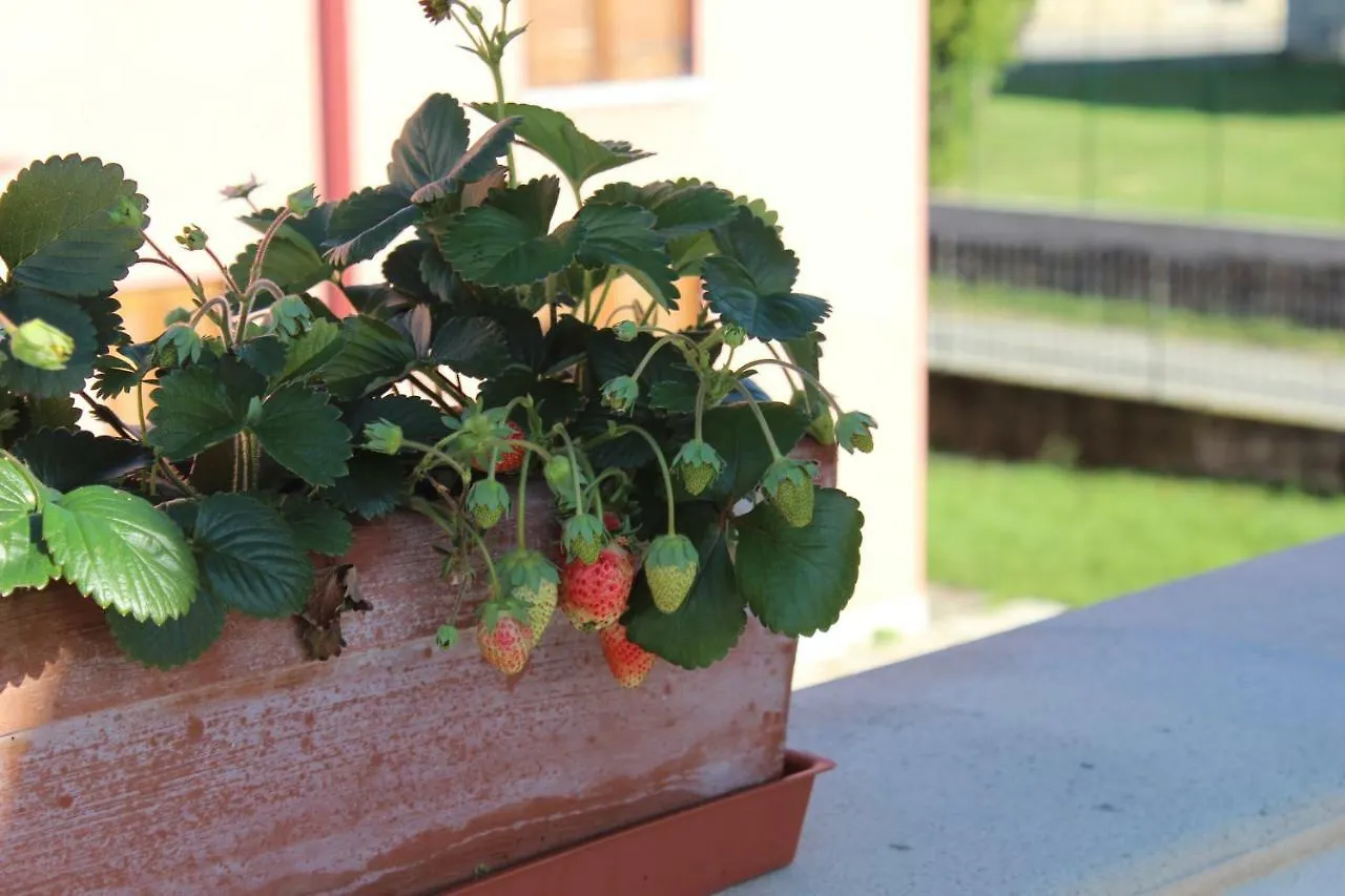 Bed & Breakfast Due Lune B&B Almenno San Salvatore