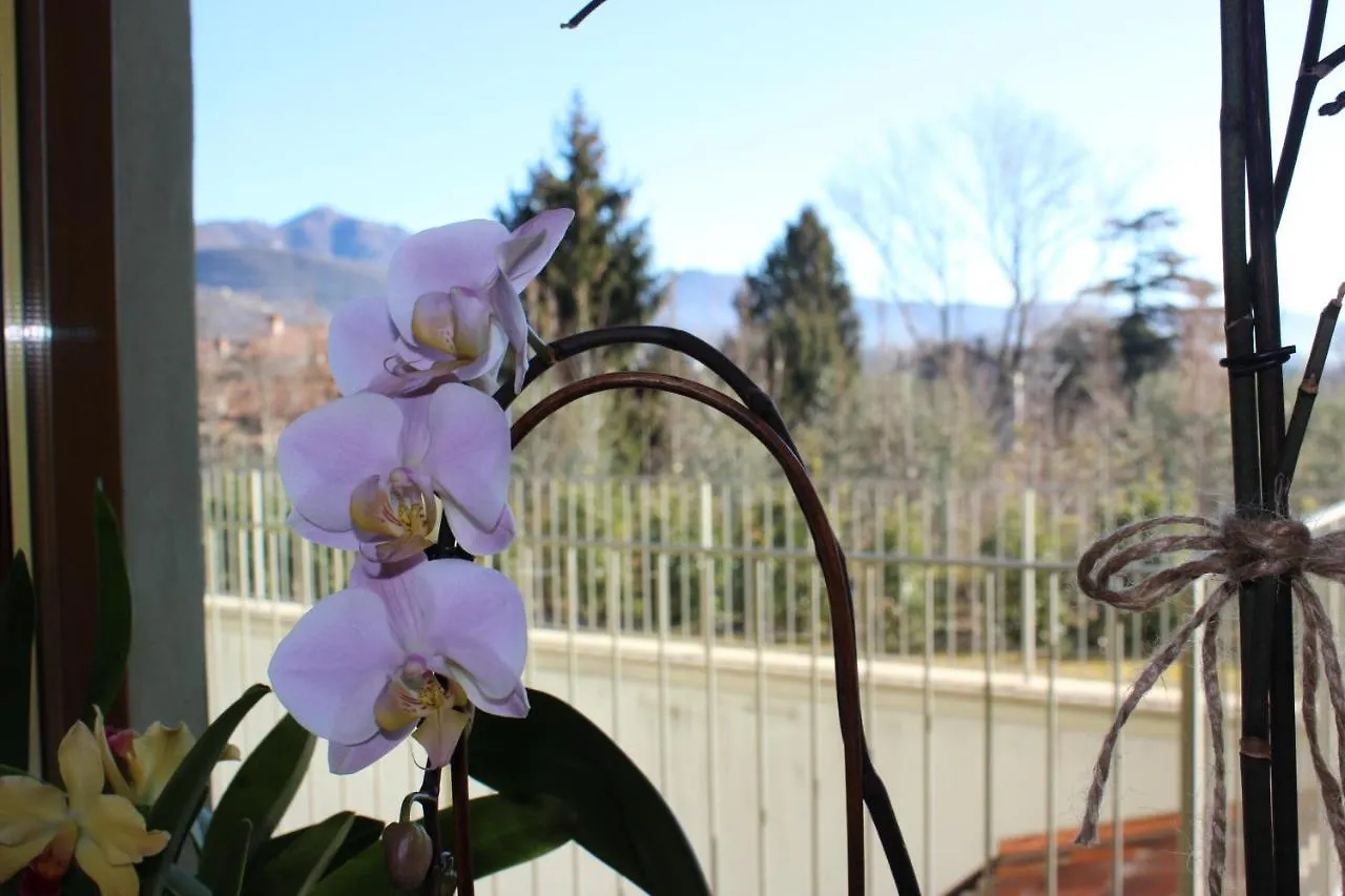 Due Lune B&B Almenno San Salvatore Italia